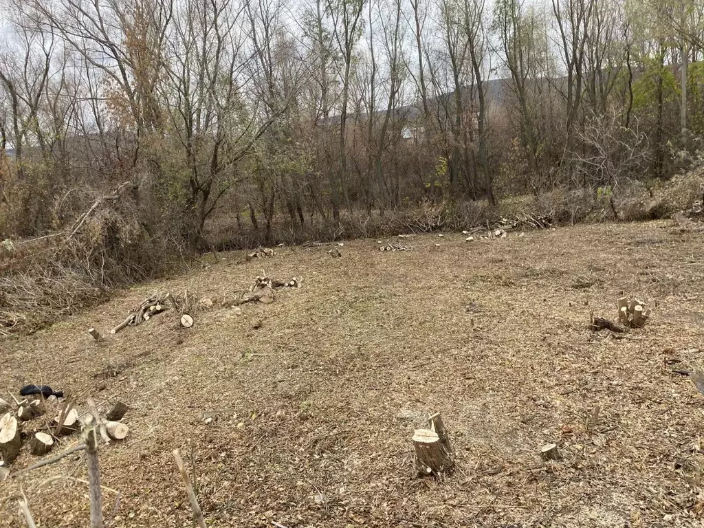 Участок в Самарская область, Тольятти Кооперативная ул., 102 (8.0 ... - Фото 2