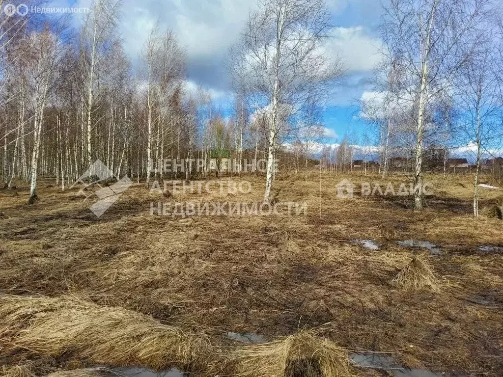 Участок в Рязанская область, Захаровский муниципальный округ, село ... - Фото 1