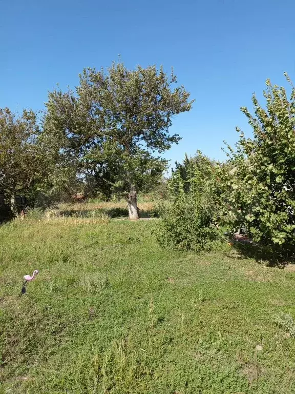 Участок 12 сот. (ИЖС) - Фото 0