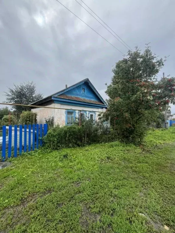 Дом в Нижегородская область, Перевозский муниципальный округ, д. Чепас ... - Фото 1