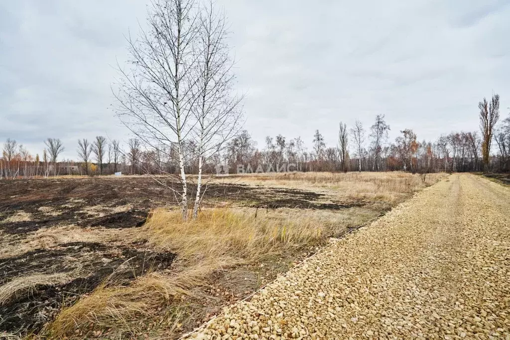 Участок в Воронежская область, Воронеж ул. Славянова (7.0 сот.) - Фото 1