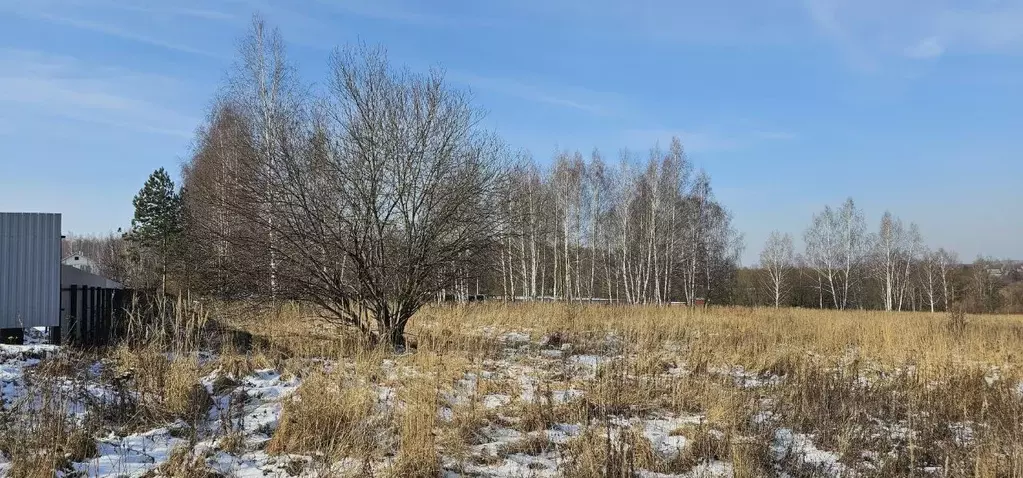 Участок в Московская область, Луховицы ул. Усадебная (24.0 сот.) - Фото 0