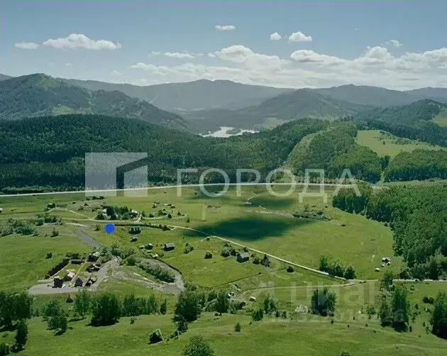 Участок в Алтайский край, Алтайский район, с. Нижнекаянча ул. ... - Фото 1