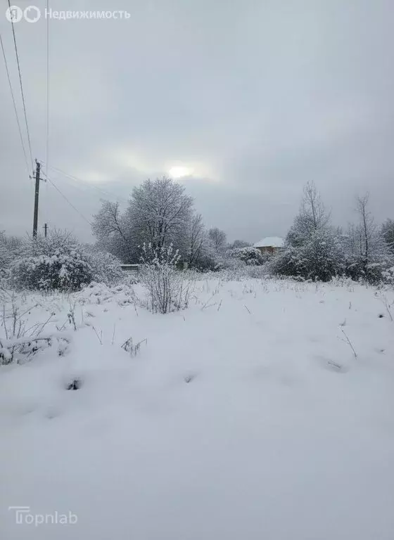 Участок в Нальчик, улица Шогенова (5.6 м) - Фото 2