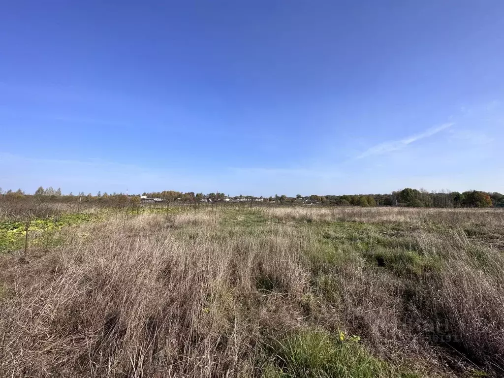 Участок в Ярославская область, Переславль-Залесский муниципальный ... - Фото 2