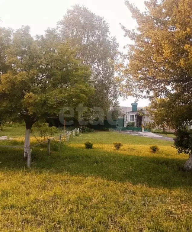 Дом в Брянская область, Брасовский район, Локоть рп пер. 1-й ... - Фото 1