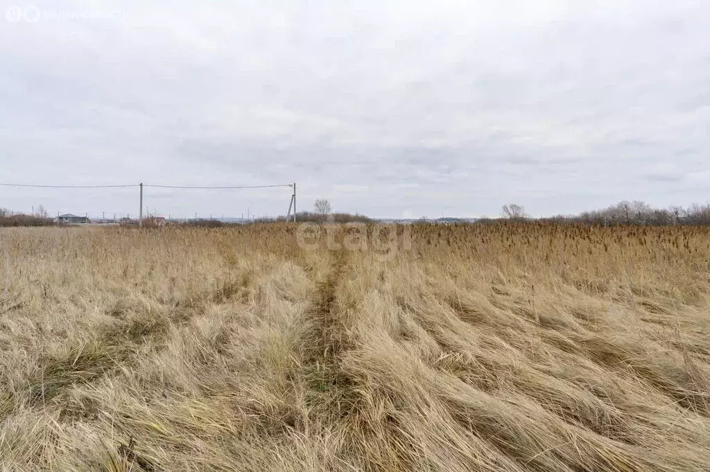 Участок в Тукаевский район, Новотроицкое сельское поселение, СНТ ... - Фото 1