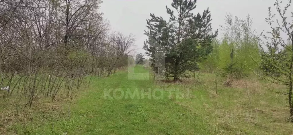 участок в воронежская область, новоусманский район, с. бабяково . - Фото 0