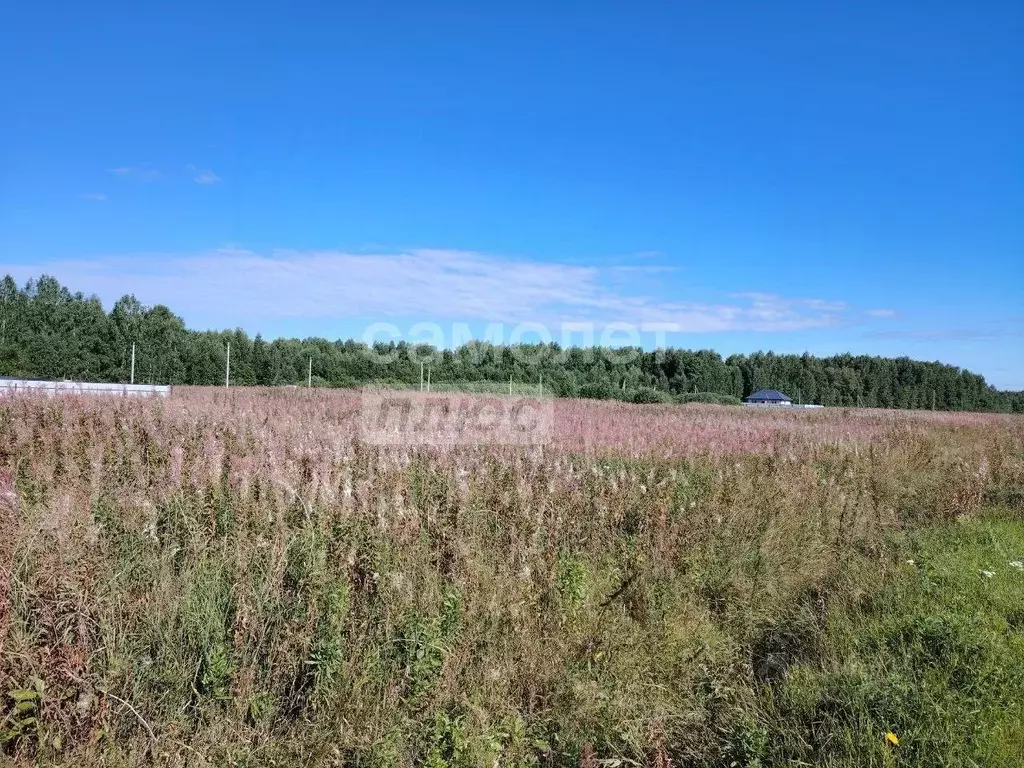 Участок в Тюменская область, Тюменский район, с. Кулига, Кулига-2 мкр  ... - Фото 1