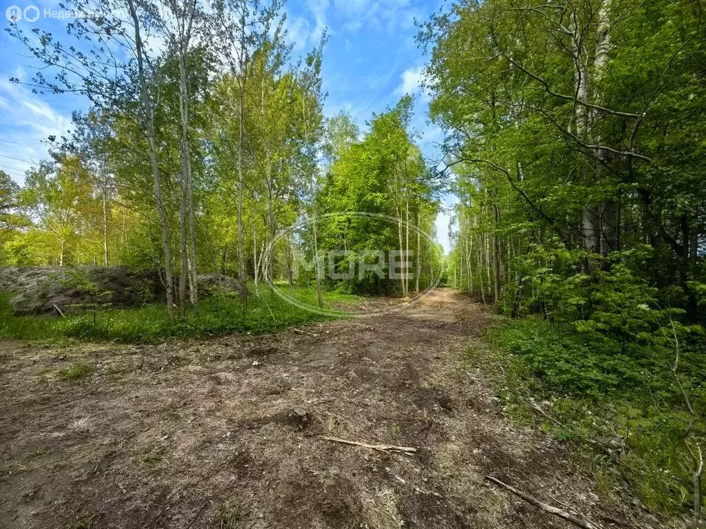 Участок в посёлок Комсомольск, Калининградская улица (12 м) - Фото 1