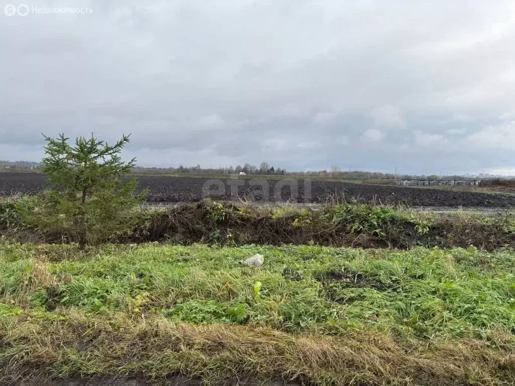 Участок в Ямны, Мирная улица (15 м) - Фото 1