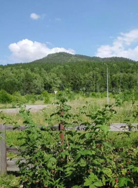 Дом в Алтай, Майминский район, с. Усть-Муны пер. Кленовый (48 м) - Фото 2