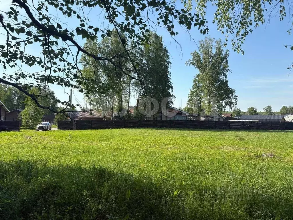 Участок в Новосибирская область, Новосибирский район, Кубовинский ... - Фото 0