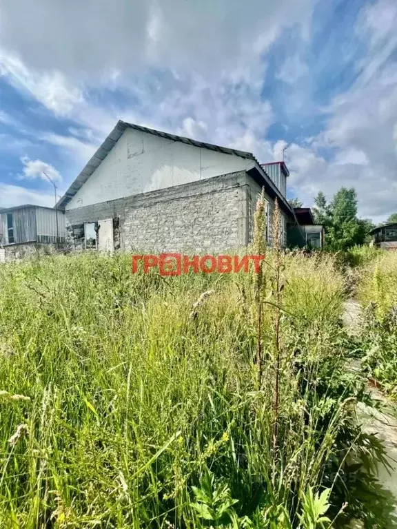 Участок в Новосибирская область, Ордынский район, д. Новый Шарап ... - Фото 2
