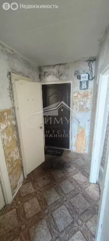 2-комнатная квартира: Елшанка, Школьная улица, 43 (43 м) - Фото 1