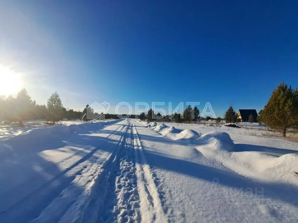 Участок в Тюменская область, Нижнетавдинский муниципальный округ, ... - Фото 1