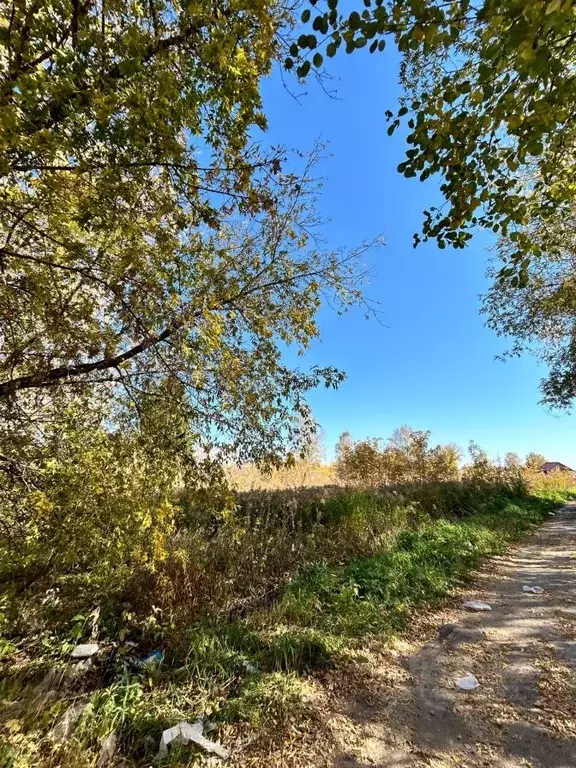 Участок в Нижегородская область, Богородский муниципальный округ, с. ... - Фото 0