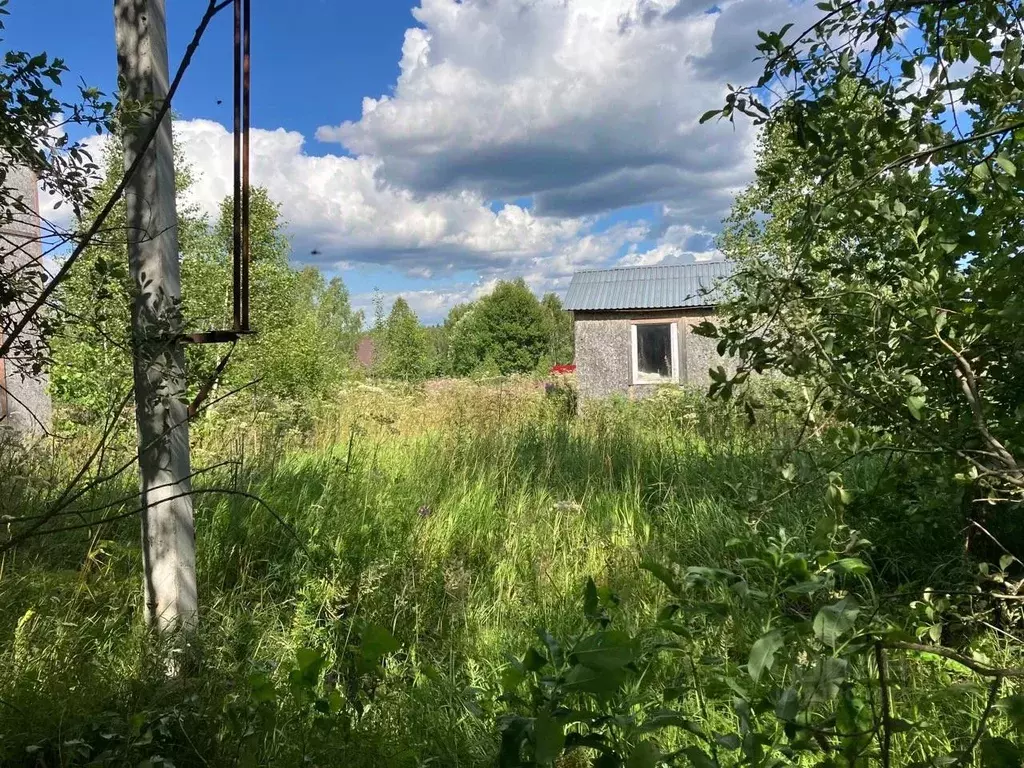 Участок в Московская область, Наро-Фоминский городской округ, д. ... - Фото 1