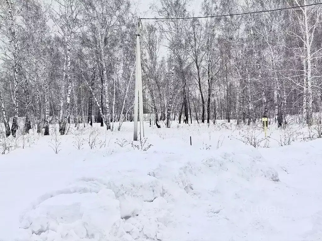 Участок в Омская область, Омский район муниципальный округ, д. ... - Фото 1