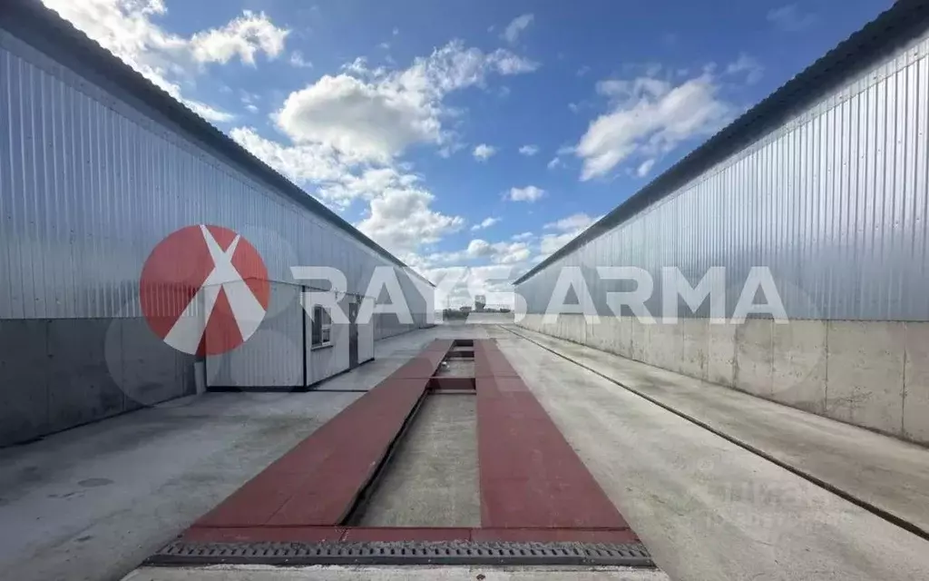 Склад в Краснодарский край, Темрюк Западная ул., 1А (3000 м) - Фото 1