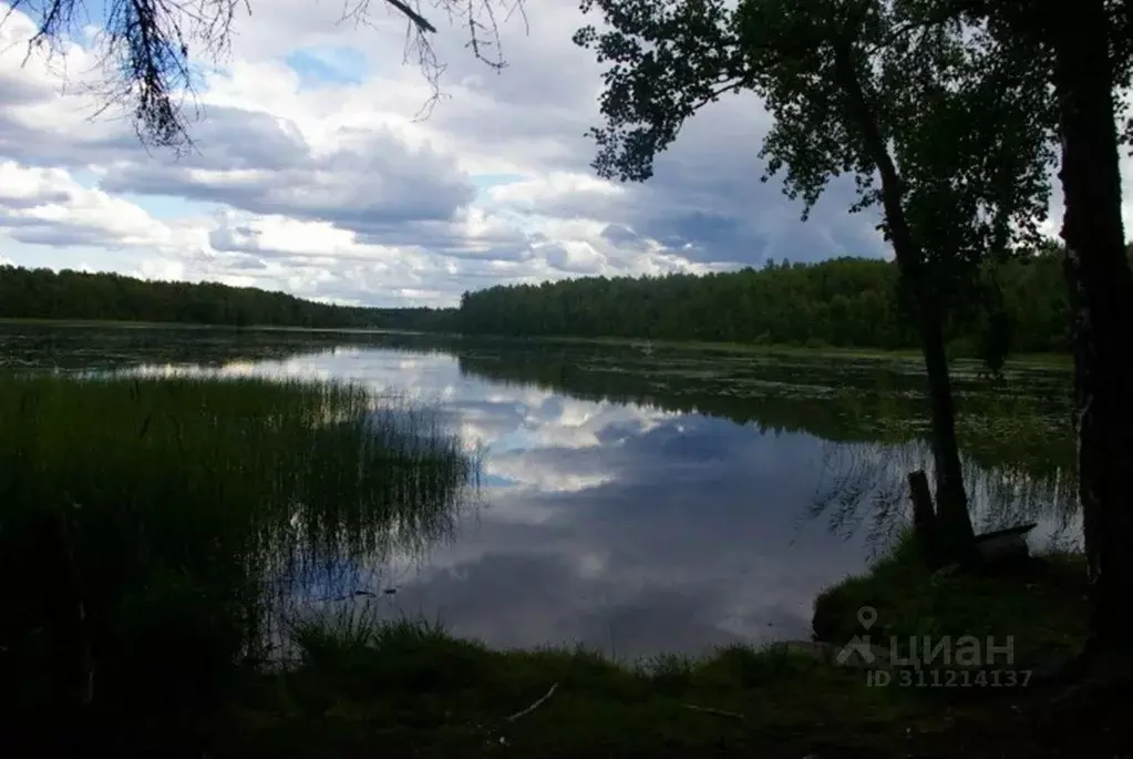 Дом в Ленинградская область, Выборг Сайменские дачи СНТ, ул. ... - Фото 1