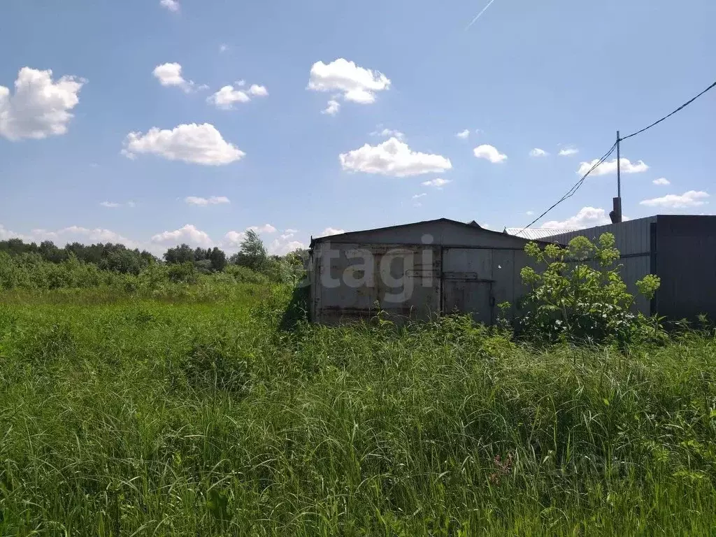 Участок в Новосибирская область, Колыванский район, Север ТСН 107 ... - Фото 1