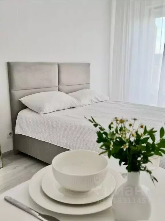 Студия Санкт-Петербург Пулковское ш., 71к3 (25.0 м) - Фото 0