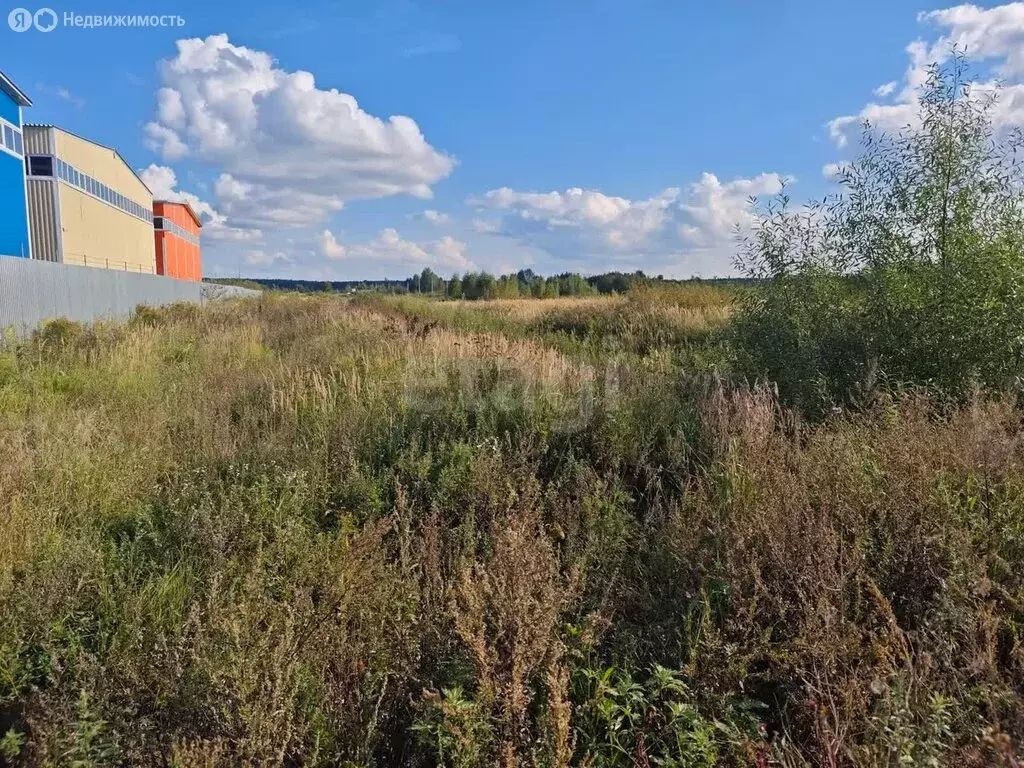 Участок в Раменское, территория 2-й километр Автодороги ММК–Раменское ... - Фото 2