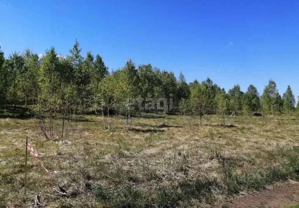 Участок в Томская область, Томский район, с. Корнилово ул. Жданова ... - Фото 0