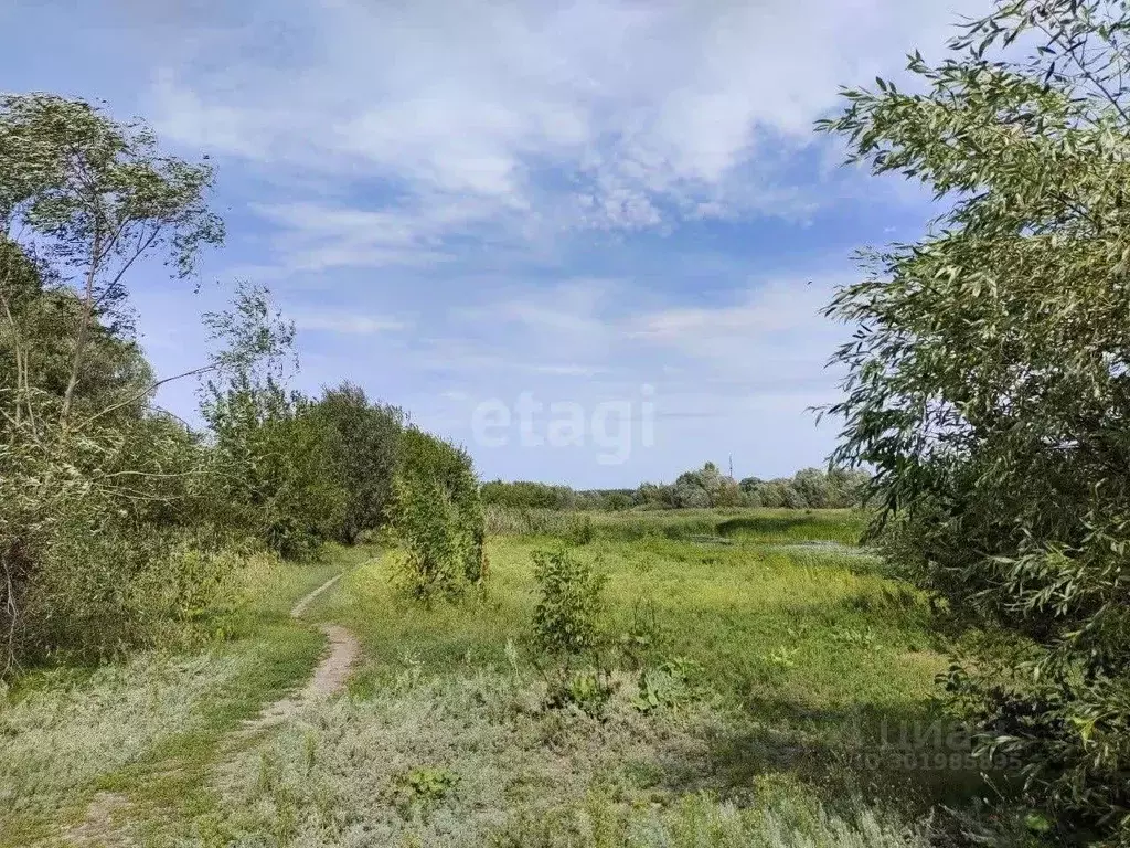 Участок в Воронежская область, Новоусманский район, ... - Фото 0