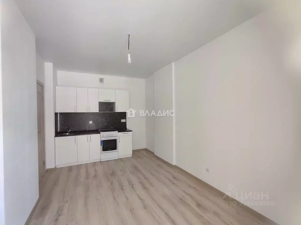 1-к кв. Нижегородская область, Нижний Новгород д. Анкудиновка, ул. ... - Фото 1