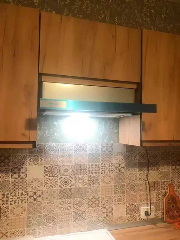 1-к кв. Нижегородская область, Нижний Новгород ул. Спутника, 34 (33.0 ... - Фото 1