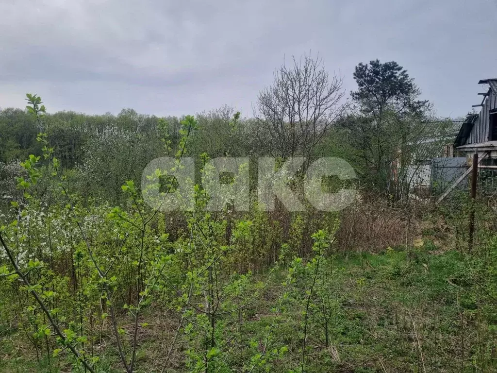 Участок в Краснодарский край, Горячий Ключ Комсомольская ул. (9.14 ... - Фото 2