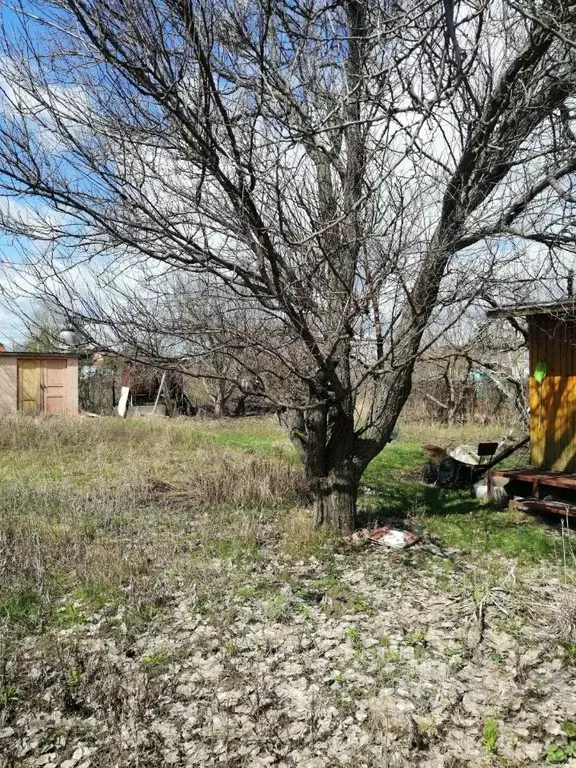 Дом в Саратовская область, Энгельсский район, Красноярское ... - Фото 0