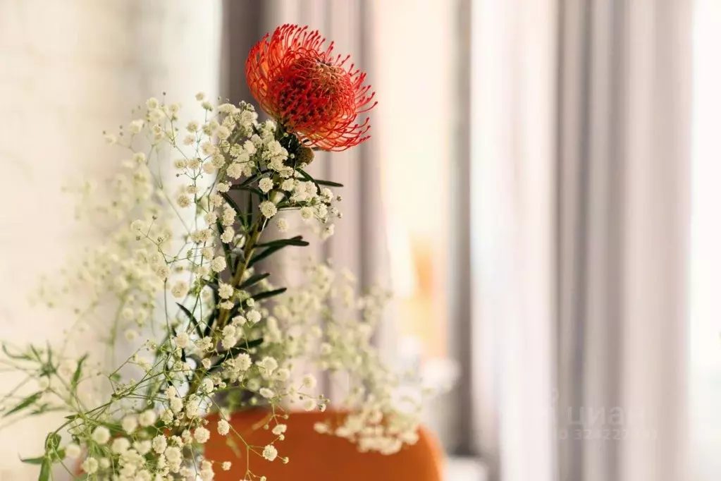 1-к кв. Санкт-Петербург ул. Маяковского, 28 (26.0 м) - Фото 2