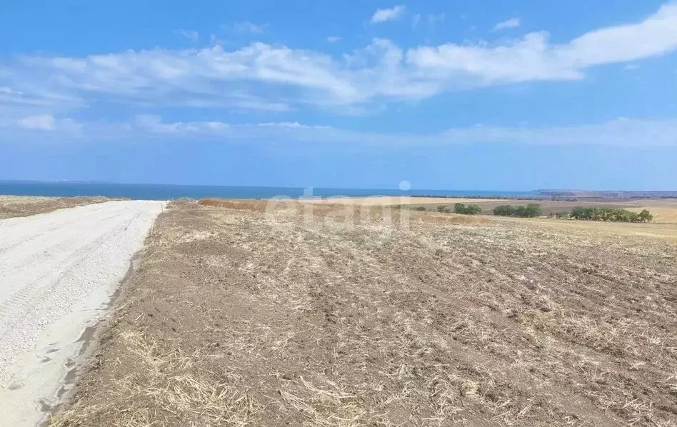 Участок в Крым, Ленинский район, Челядиновское с/пос, с. Челядиново ... - Фото 1