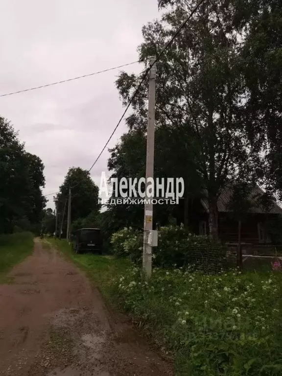 Участок в Ленинградская область, Тосненский район, Любанское городское ... - Фото 1