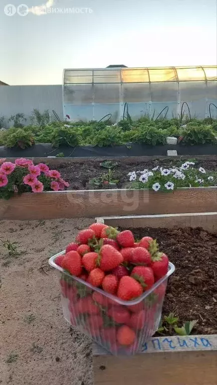 Участок в Тюмень, микрорайон Быкова, улица Тихих Зорь (4.68 м) - Фото 2