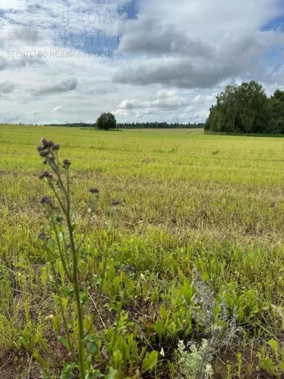 Участок в Ивановская область, Ивановский муниципальный округ, д. ... - Фото 1
