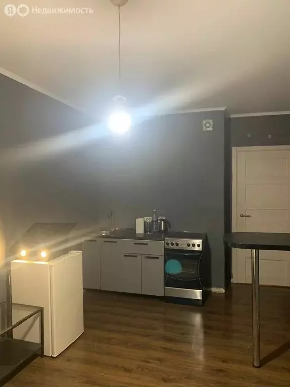 Квартира-студия: Санкт-Петербург, проспект Ветеранов, 175 (25 м) - Фото 2