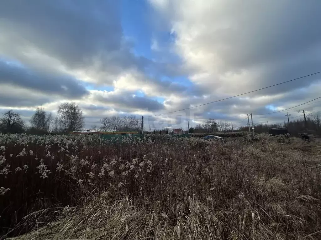 Участок в Калининградская область, Калининград Родник СНТ, ул. ... - Фото 1