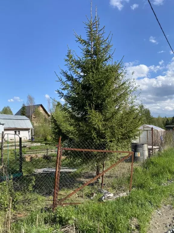 Участок в Свердловская область, Екатеринбург Юбилейный СПК, 52 (9.5 ... - Фото 0