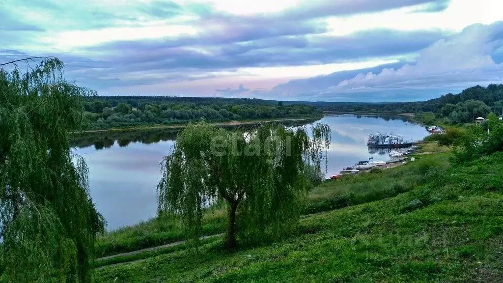 Участок в Калужская область, Таруса Серпуховское ш., 8 (404.55 сот.) - Фото 0