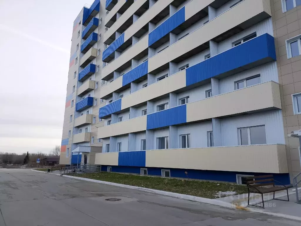 Студия Алтайский край, Бийск Советская ул., 180 (28.0 м) - Фото 1