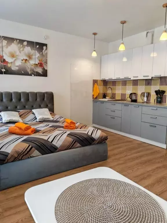 Студия Московская область, Одинцово ул. Каштановая, 16 (27.0 м) - Фото 1