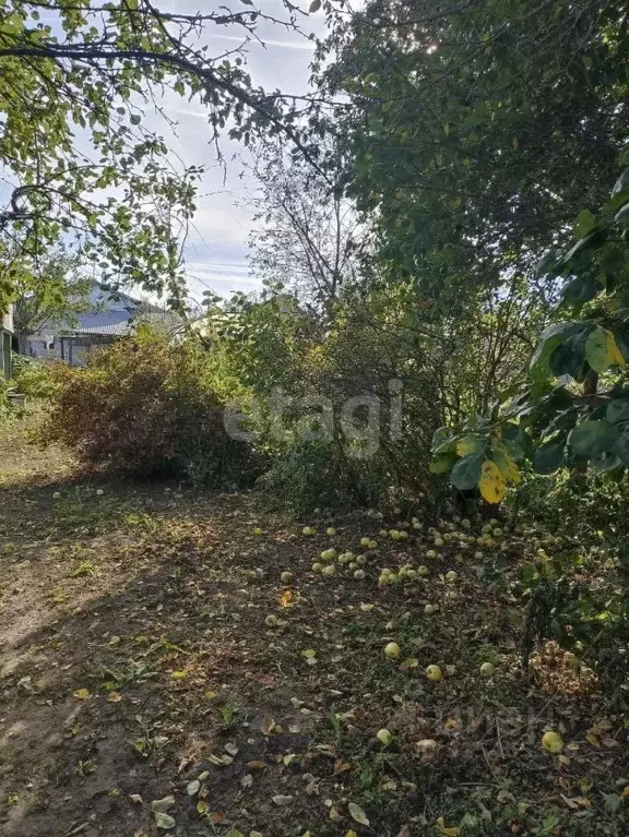 Дом в Нижегородская область, Сосновский муниципальный округ, с. ... - Фото 1