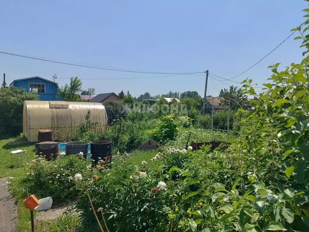 Дом в Новосибирская область, Новосибирск ш. Ордынское (60 м) - Фото 0