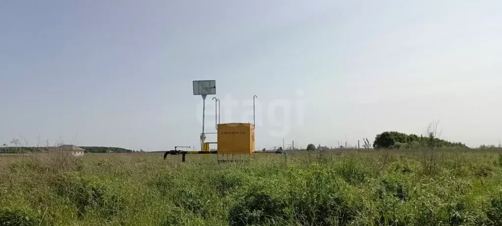 Участок в Тульская область, Тула городской округ, д. Сеженские Выселки ... - Фото 1
