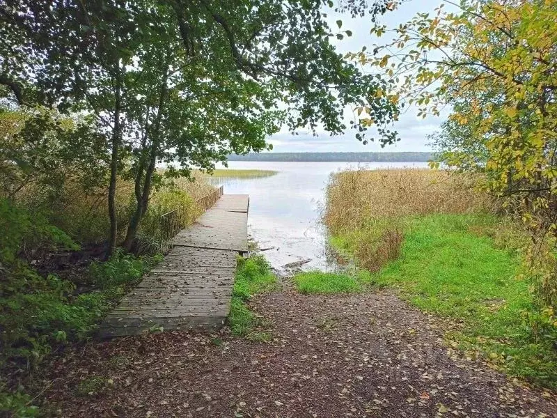 Дом в Ленинградская область, Выборгский район, Рощинское городское ... - Фото 1