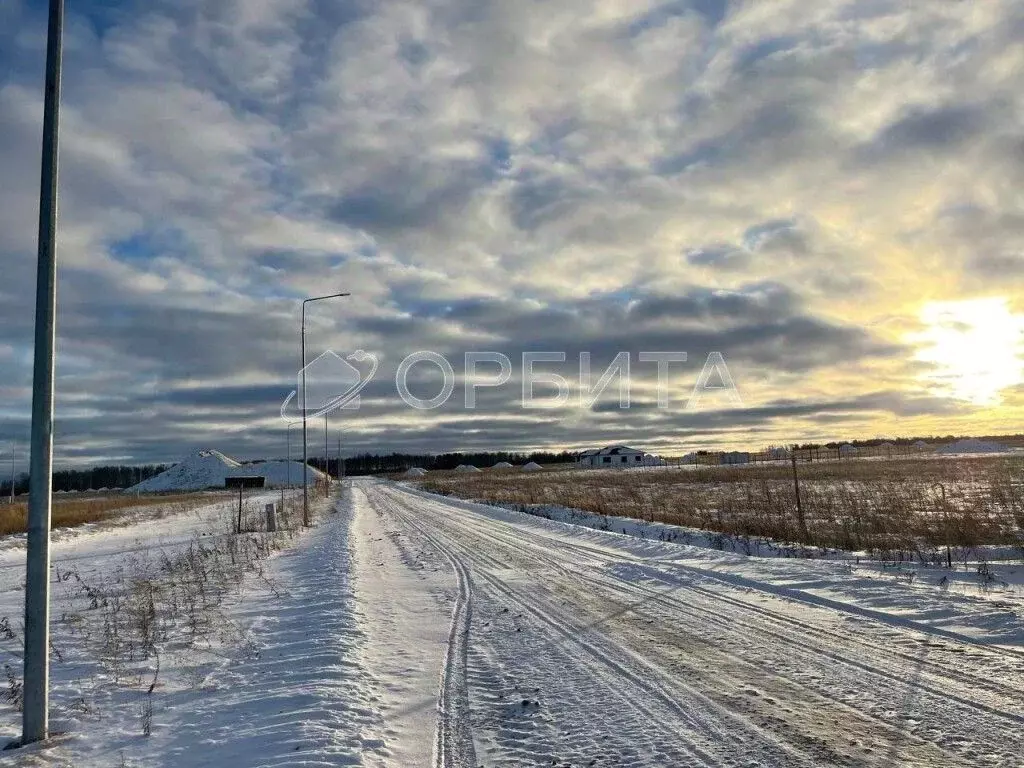 Участок в Тюменская область, Тюменский район, Новокаменский кп ул. ... - Фото 1